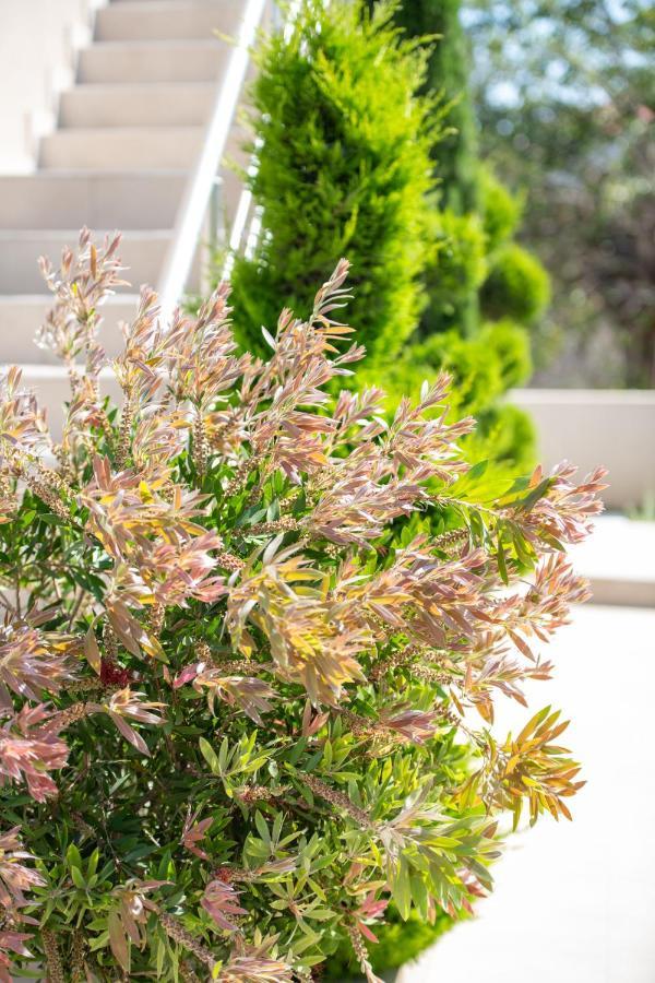 Sithonia Suites Luxury 2 Beds Studio, Semi-Ground Floor Νικήτη Εξωτερικό φωτογραφία
